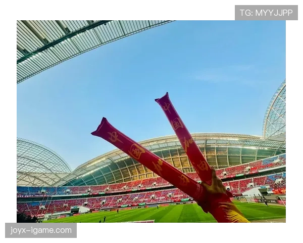 泰国国家队世预赛出线，球迷欢呼沸腾！