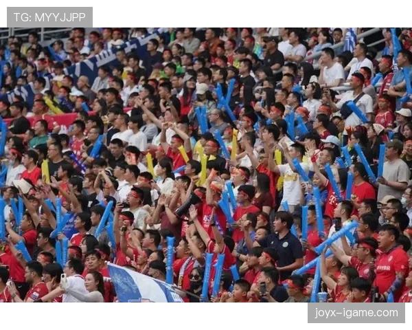 印尼队红白狂欢：足球盛宴点燃全国激情，球迷共庆荣耀时刻